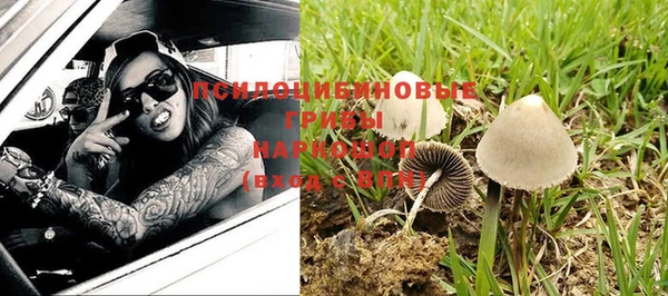 ALPHA PVP Бородино