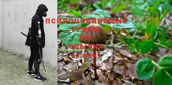 скорость Бугульма