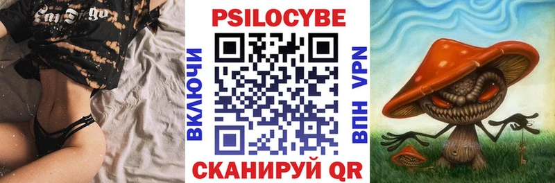 Галлюциногенные грибы Psilocybe  Рыбинск 